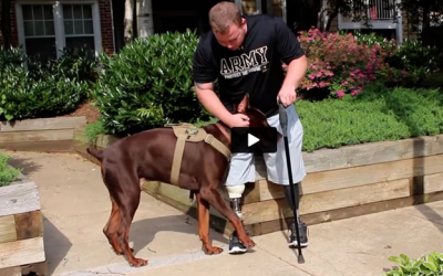 Brandon McMillan Teaches Dog Training