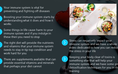 Boost Your Immune System